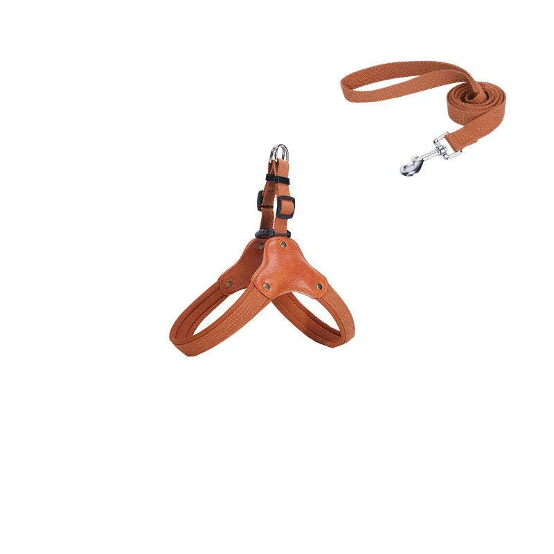 PawCommand Premium Outdoor Zestaw