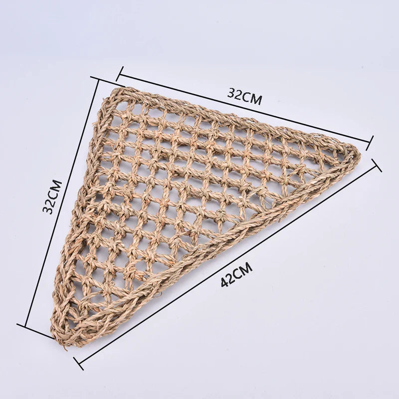 Hagedis Leżak Eye Hammock