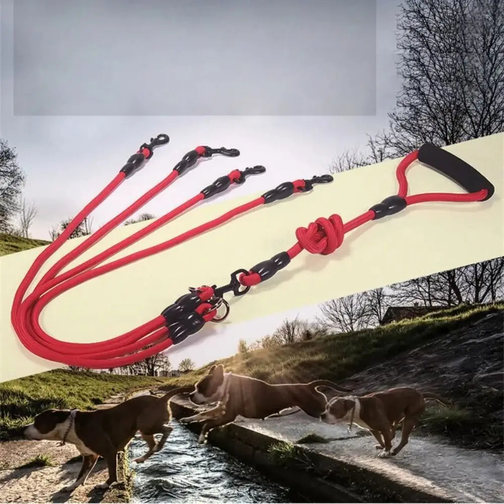 DuoWalk Nylon Podwójna Smycz dla Psów