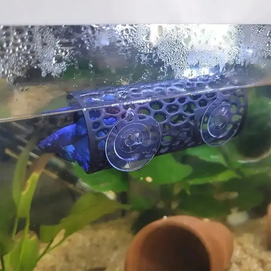 AquaHaven Czarna Rurka Kryjówka do Akwarium z Przyssawką