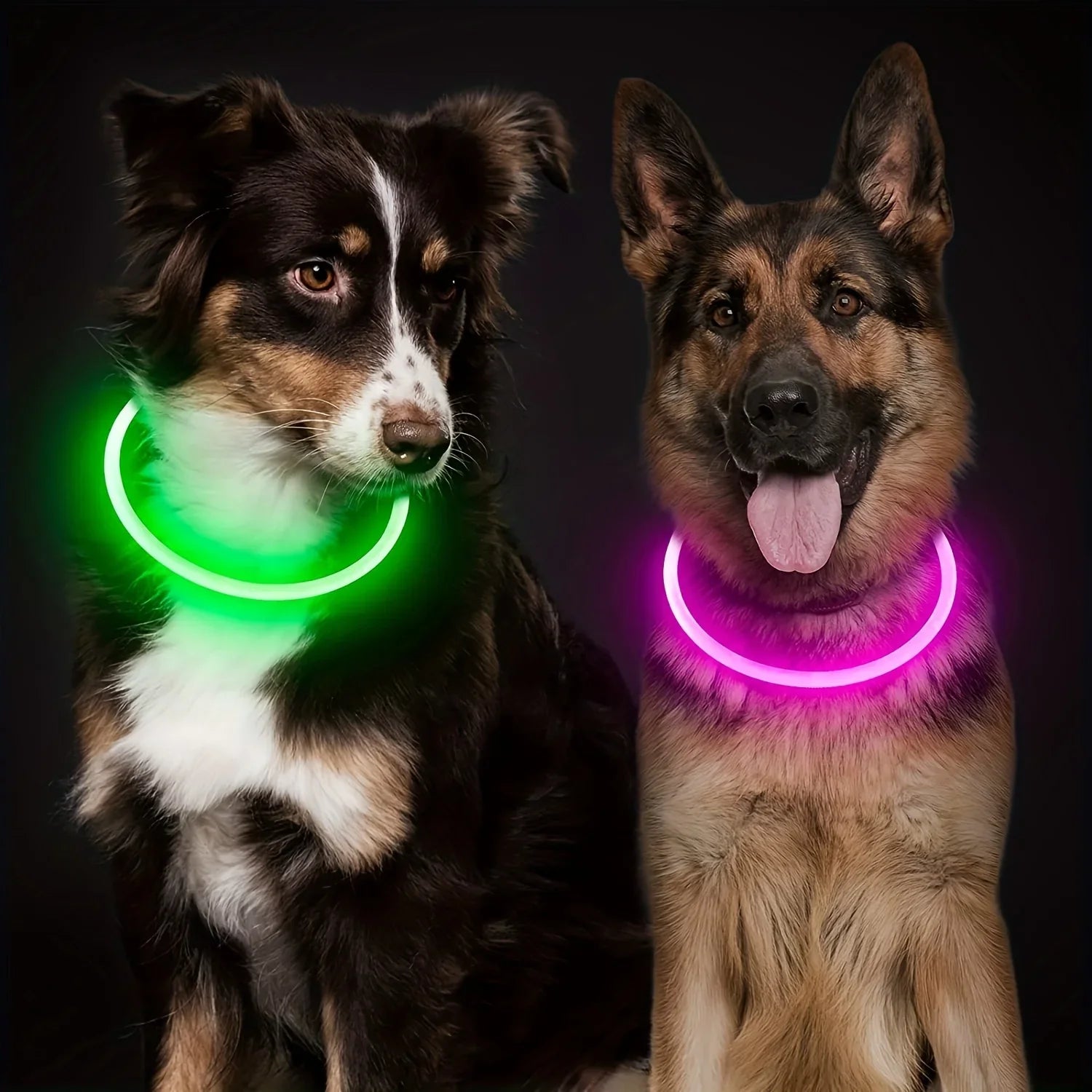 Pas bezpieczeństwa GlowGuard LED dla psów – ładowany przez USB i odblaskowy