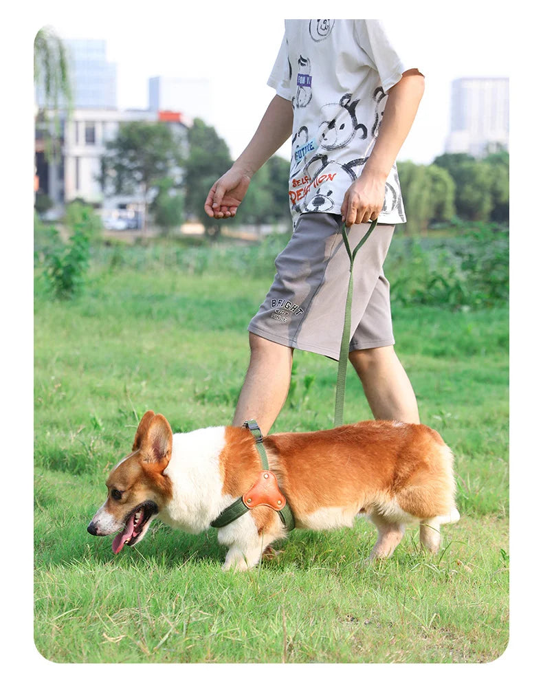 PawCommand Premium Outdoor Zestaw