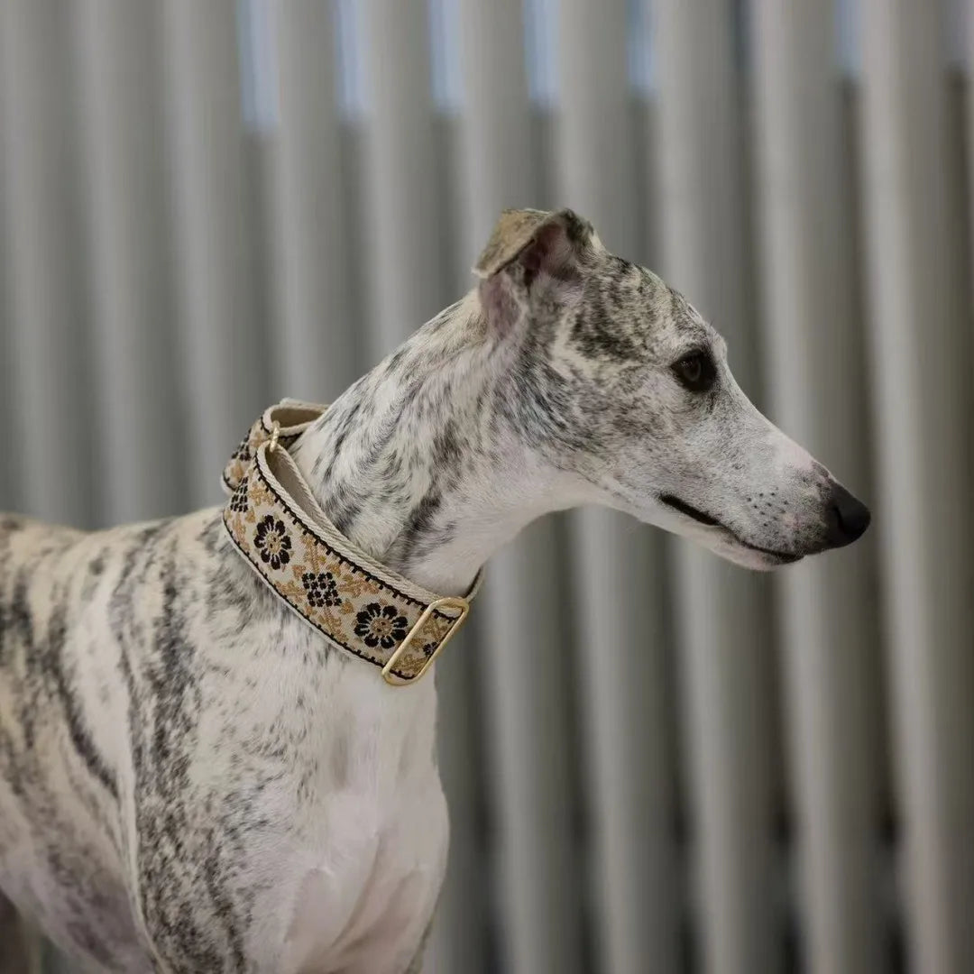 SwiftGent Martingale Obroża