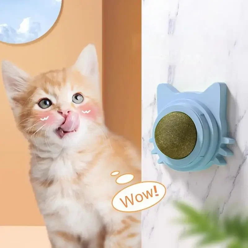 MINTYPLAY Lickbare Kattenkruidenbal – Przekąska, Zabawka & Pielęgnacja Zębów w Jednym!
