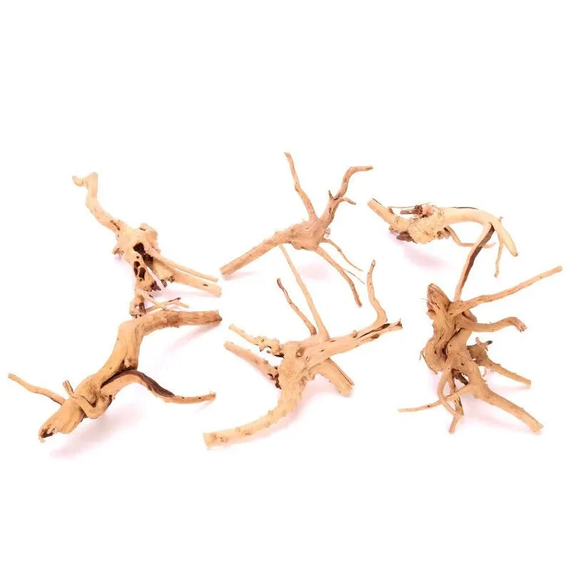 Dekoracja akwarium