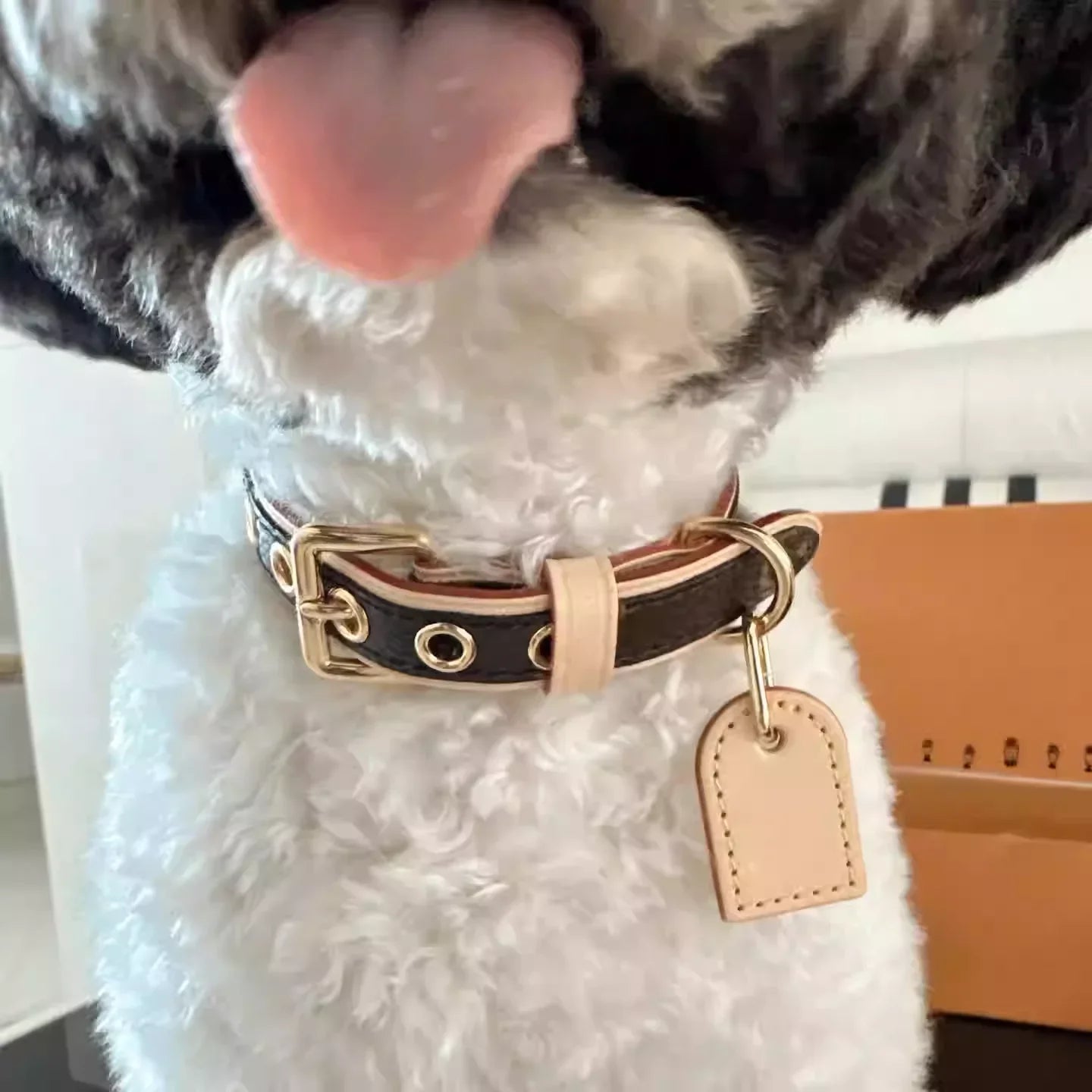 BellaCord Klasyczna Smycz i Obroża