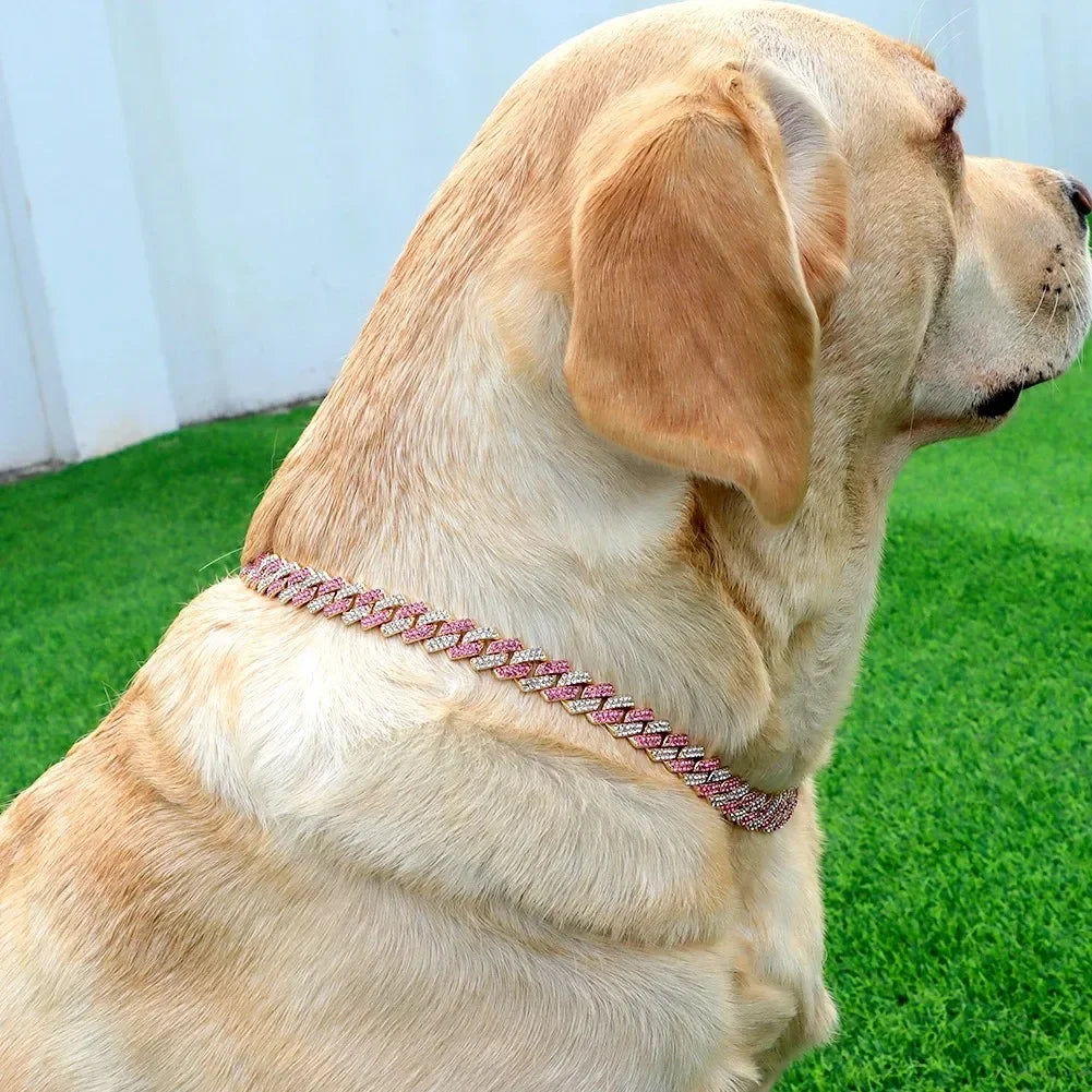 RoyalPaw Diamentowy Kubanski Łańcuch dla Psów