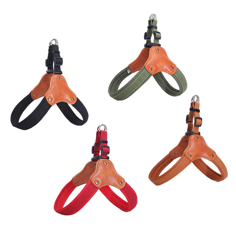 PawCommand Premium Outdoor Zestaw