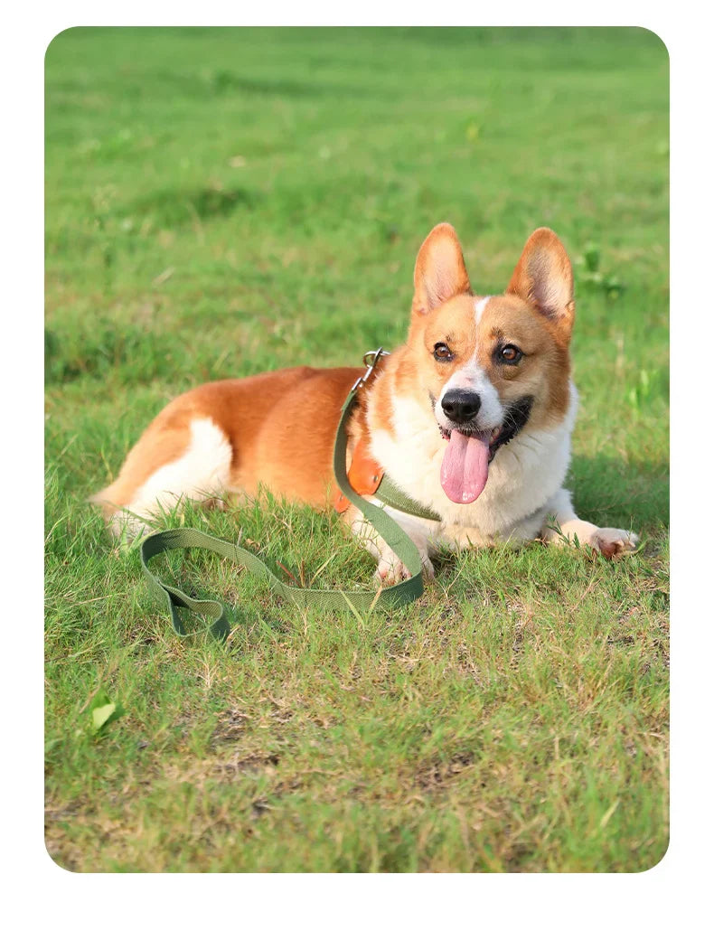 PawCommand Premium Outdoor Zestaw