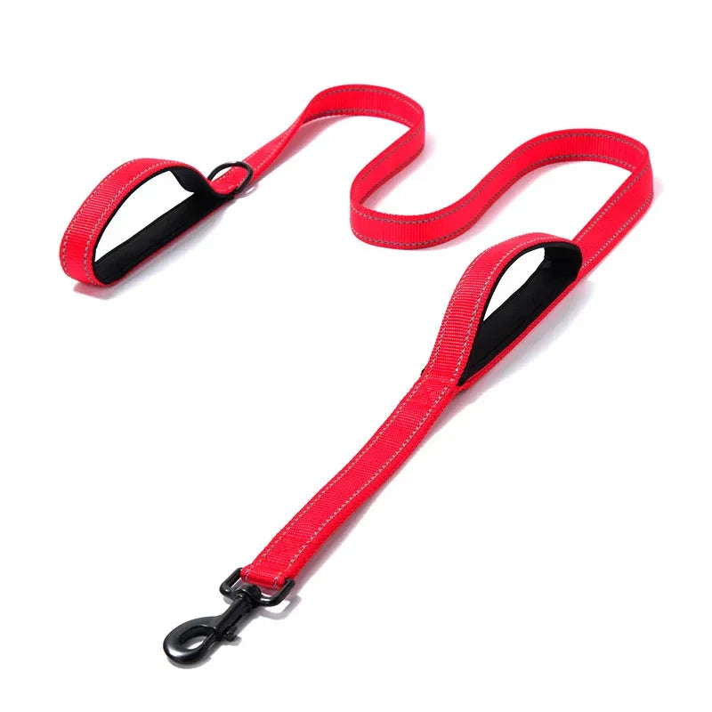 Ciężki Podwójny Obroż dla Psa – Łańcuch i Nylon, 150 - 180cm