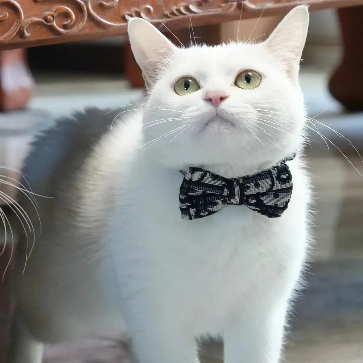 LuxePaw Odpinana Ozdobna Kokardka