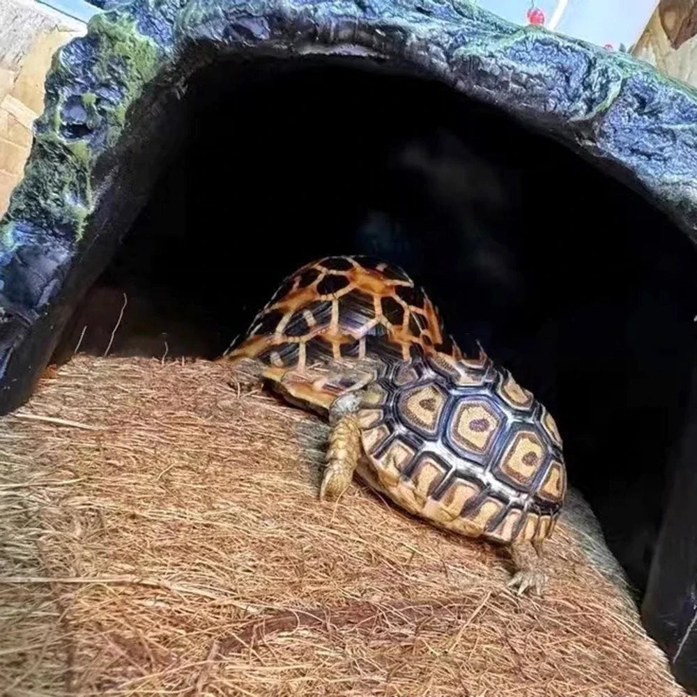 EcoTera Naturalna Mata do Terrarium z Włókna Kokosowego