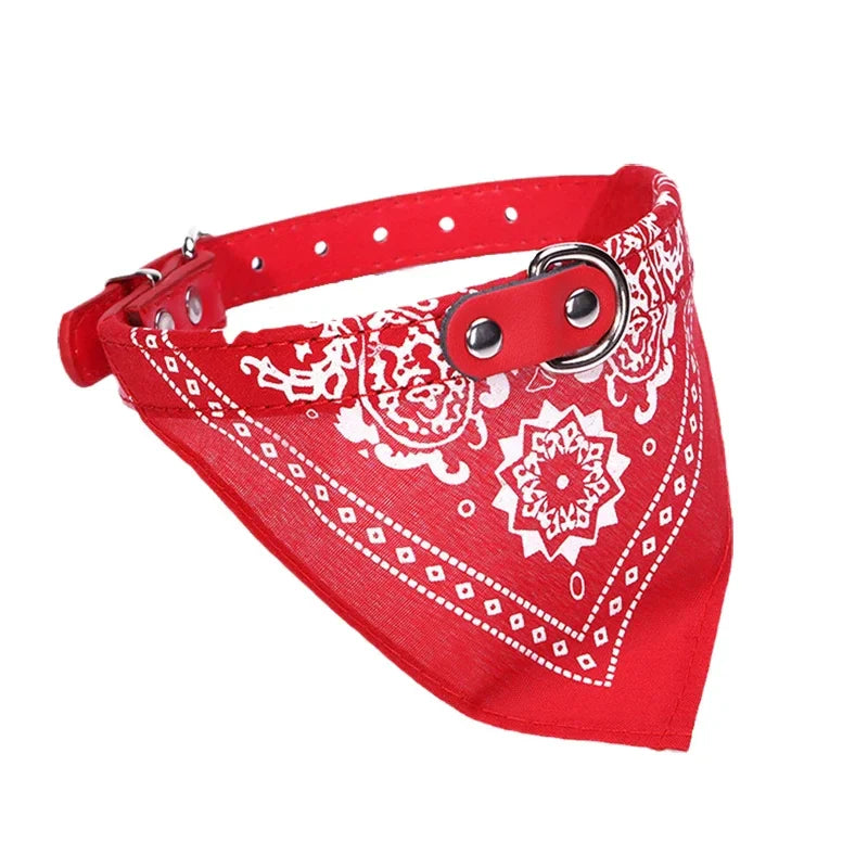 STYLPET PU Obroża z Apaszką
