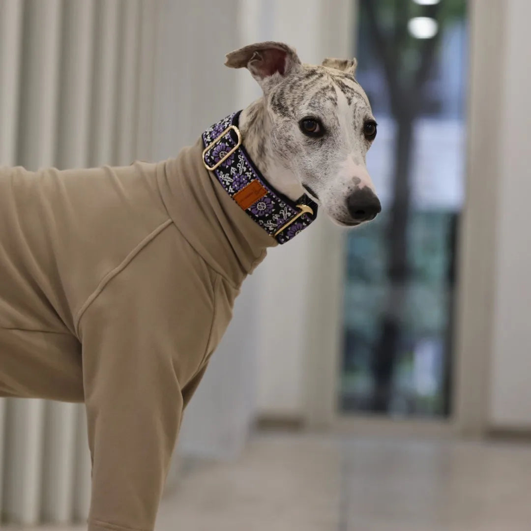 SwiftGent Martingale Obroża