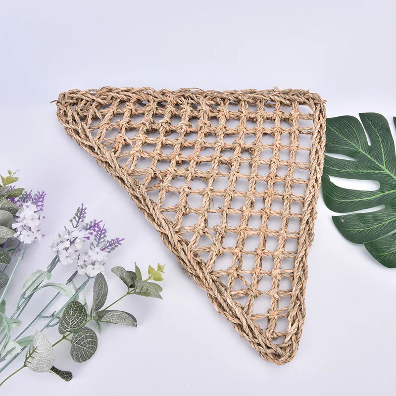 Hagedis Leżak Eye Hammock