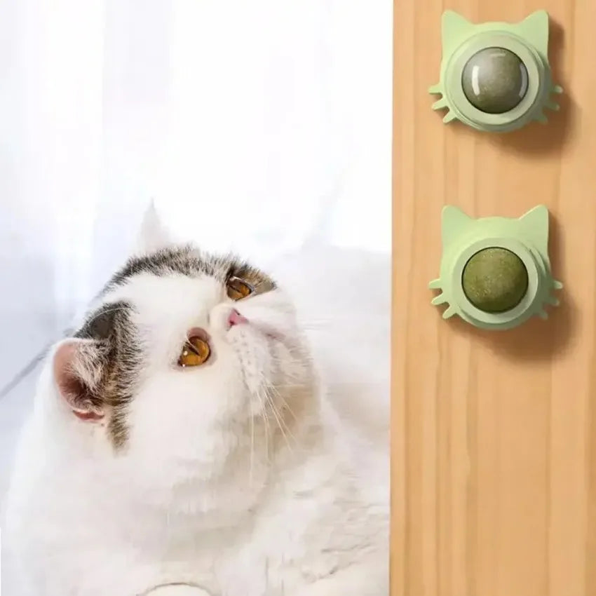 MINTYPLAY Lickbare Kattenkruidenbal – Przekąska, Zabawka & Pielęgnacja Zębów w Jednym!