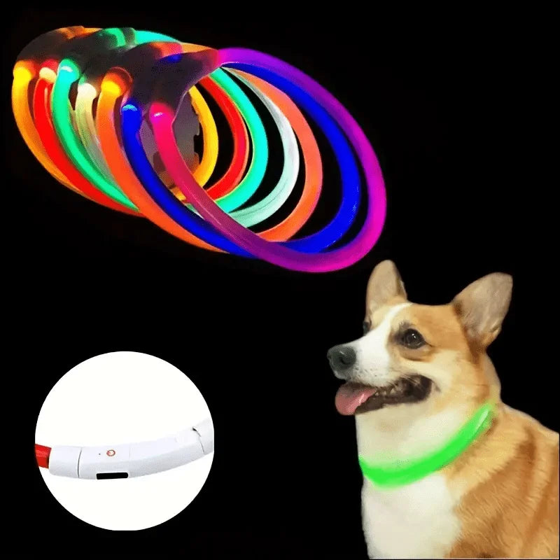 Pas bezpieczeństwa GlowGuard LED dla psów – ładowany przez USB i odblaskowy