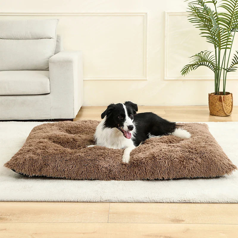 PawHaven Luxe Pluche Łóżko dla Psów i Kotów