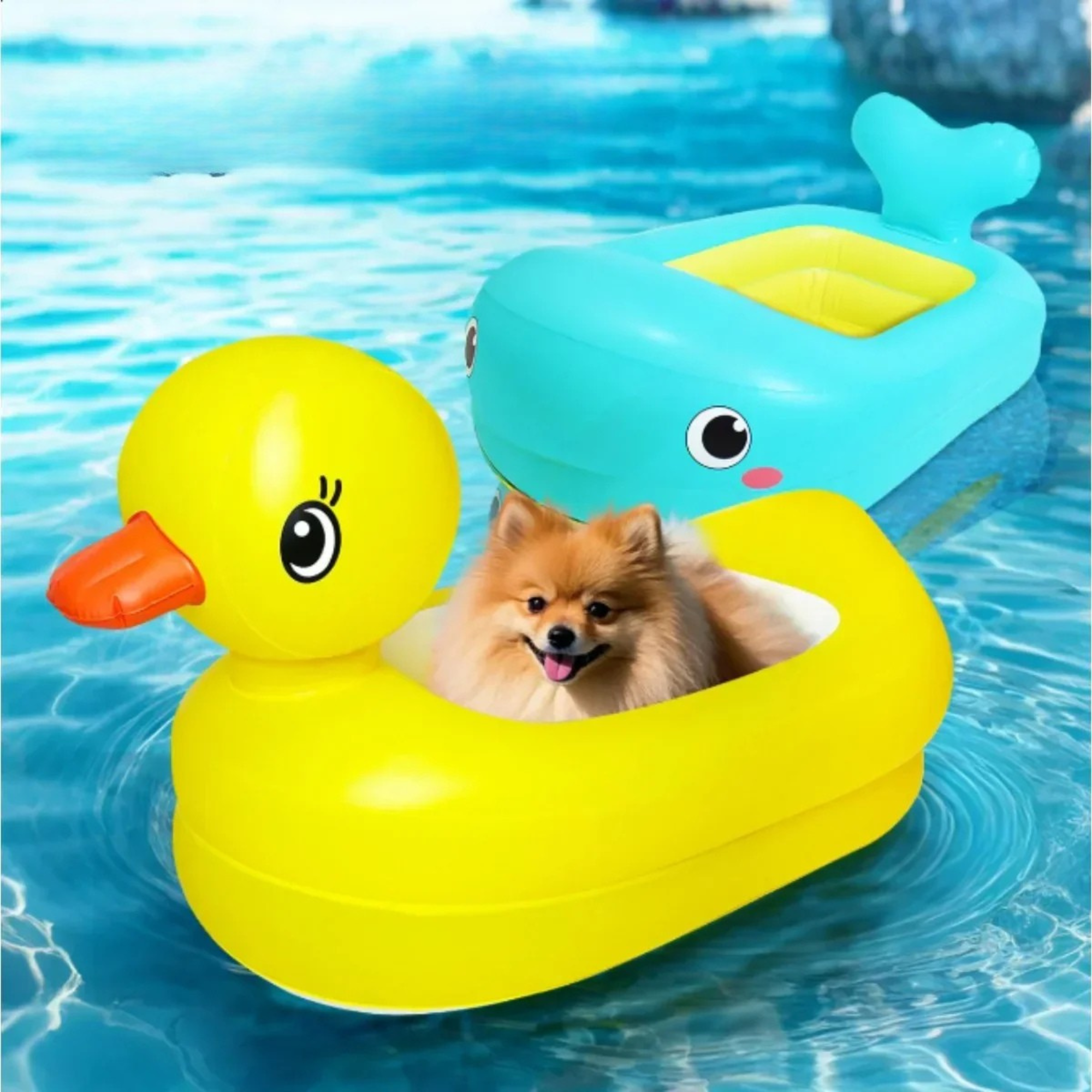 SwimBuddy 2-w-1 Pływak dla Psów
