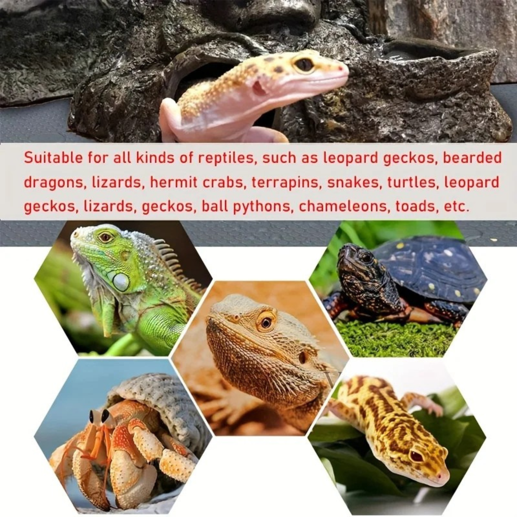 Wykładzina do terrarium dla gadów