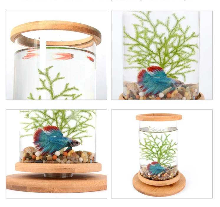 AquaGlow LED Cylindryczne Mini Akwarium