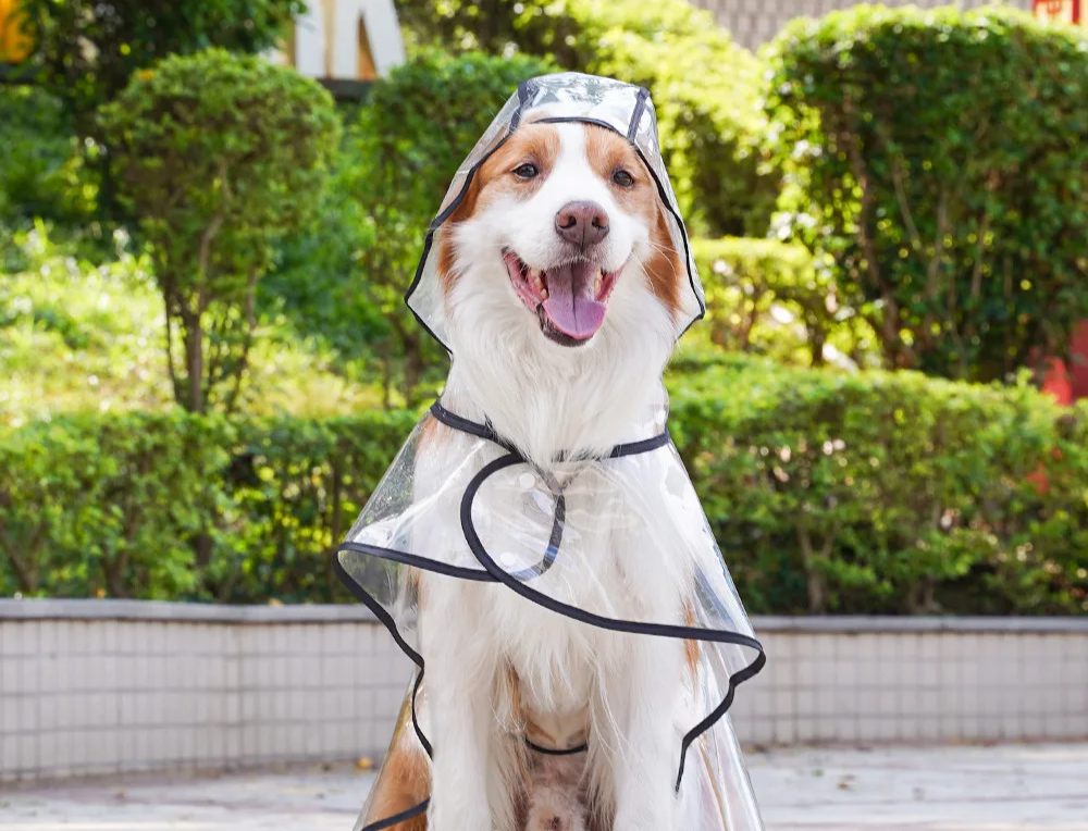 ClearPaw Przezroczysty Płaszcz przeciwdeszczowy dla Psów