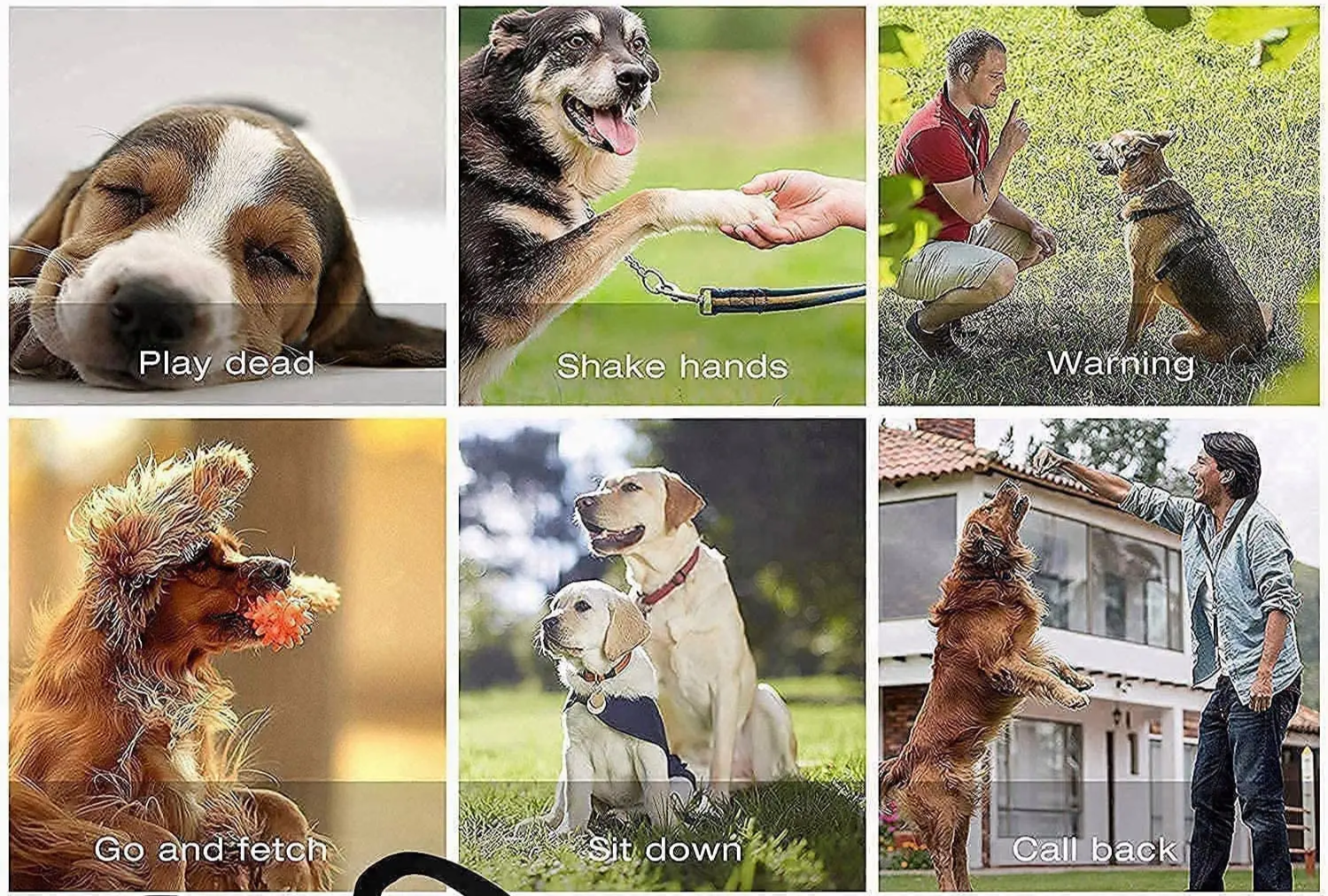 Ultradźwiękowy Gwizdek Dla Psów Profesjonalny