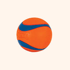Chuckit UltraBounce Piłka do Zabawy – Mała Piłeczka Skacząca dla Psów