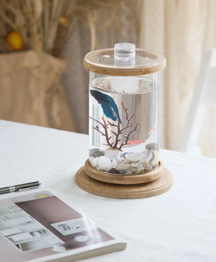 AquaGlow LED Cylindryczne Mini Akwarium