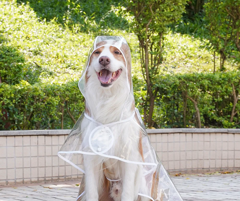 ClearPaw Przezroczysty Płaszcz przeciwdeszczowy dla Psów