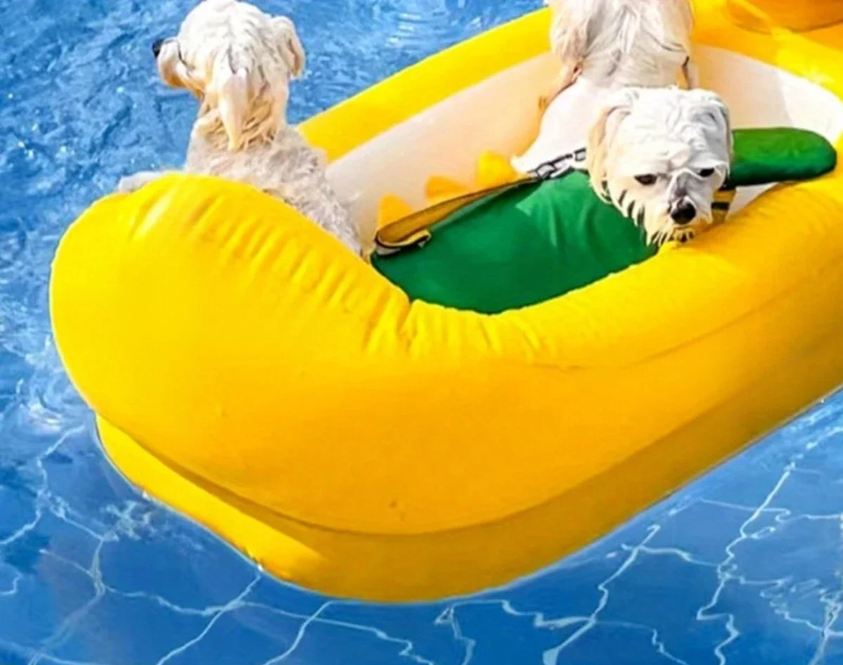 SwimBuddy 2-w-1 Pływak dla Psów