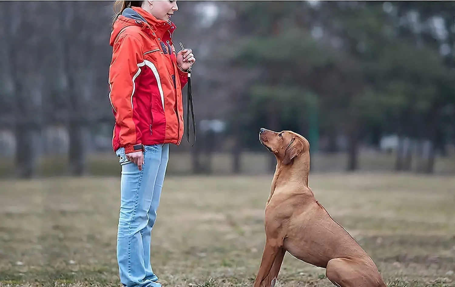 Ultradźwiękowy Gwizdek Dla Psów Profesjonalny