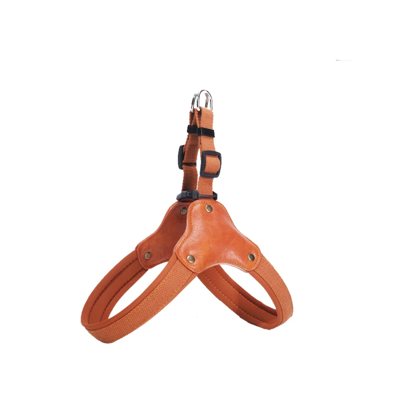 PawCommand Premium Outdoor Zestaw