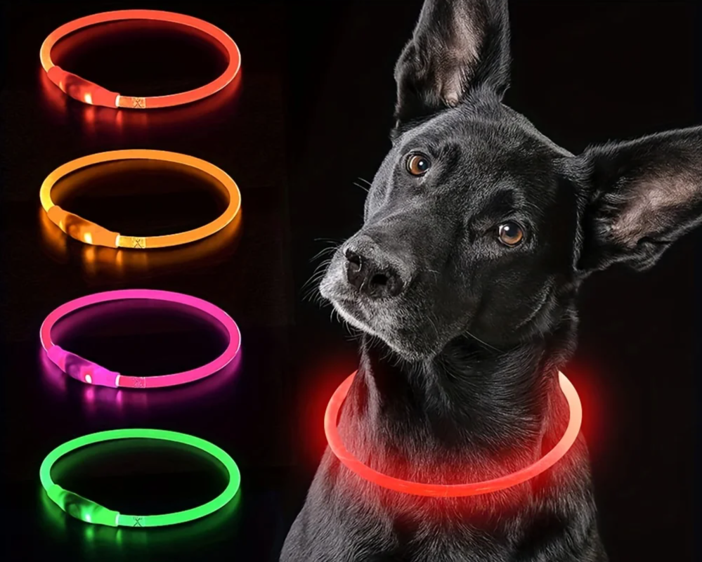 Pas bezpieczeństwa GlowGuard LED dla psów – ładowany przez USB i odblaskowy