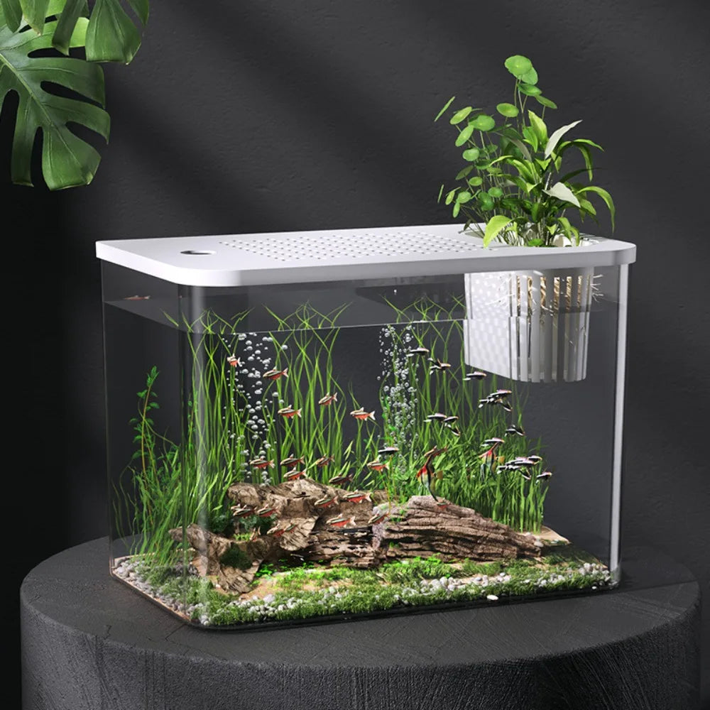 Akwaterium PET+ABS z pokrywą