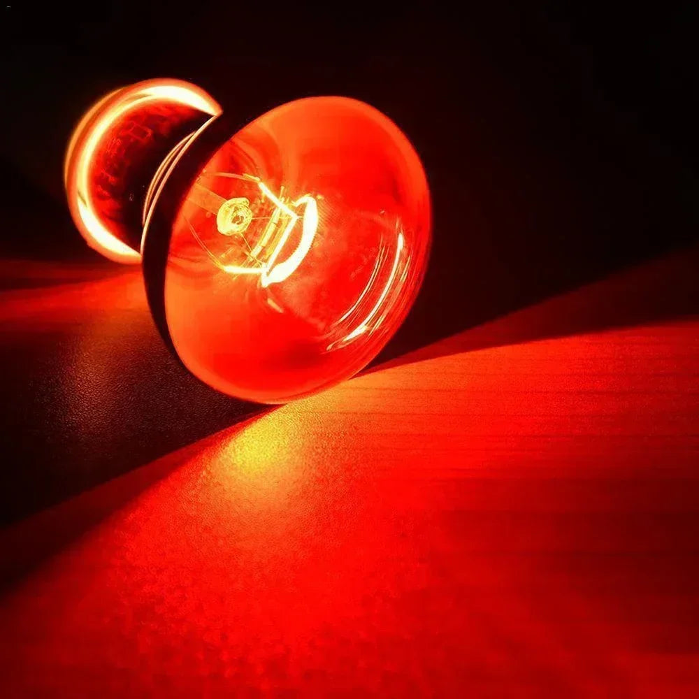 220V Podczerwona Lampa Grzewcza