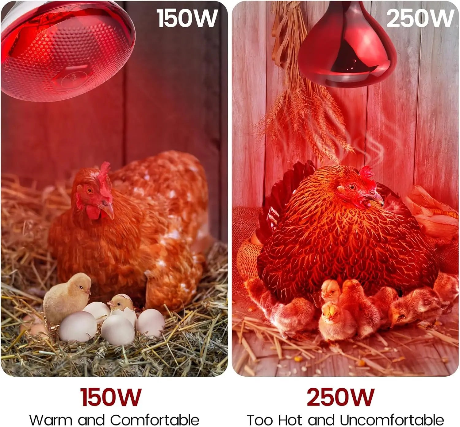 Lampa grzewcza dla gadów
