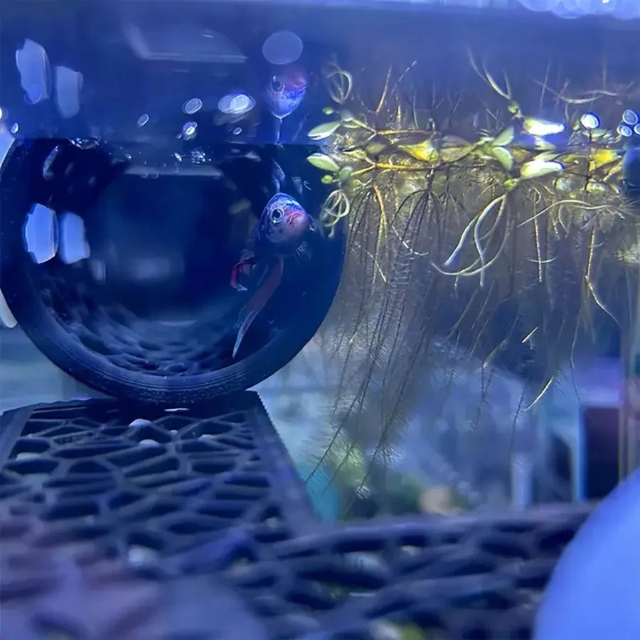 AquaHaven Czarna Rurka Kryjówka do Akwarium z Przyssawką