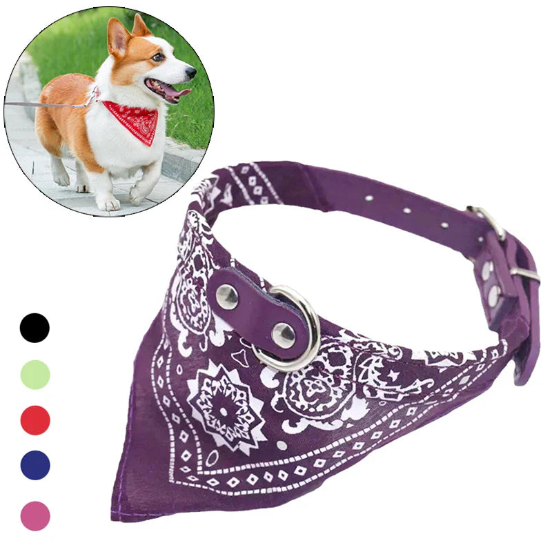 STYLPET PU Obroża z Apaszką