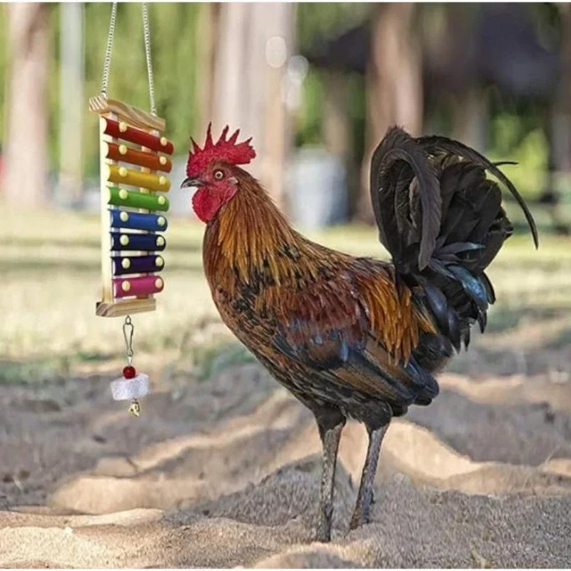 Vogelxylofoon speelgoed hout & metaal – kolorowe zabawki dla kurcząt i papużek