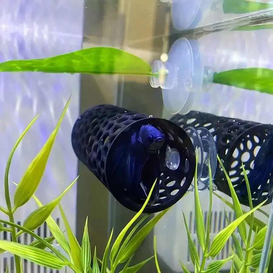 AquaHaven Czarna Rurka Kryjówka do Akwarium z Przyssawką