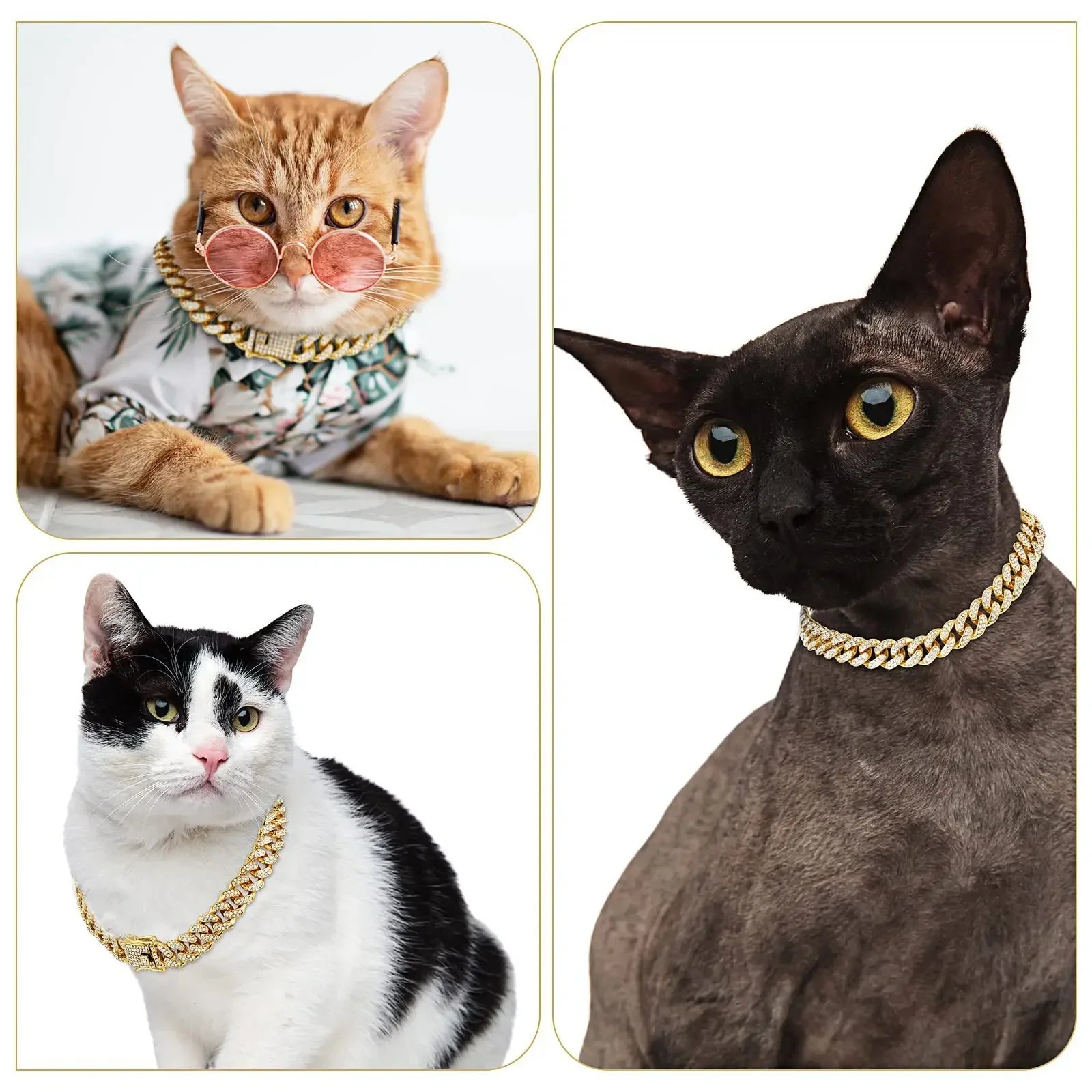 RoyalPaw Diamentowy Kubanski Łańcuch dla Psów