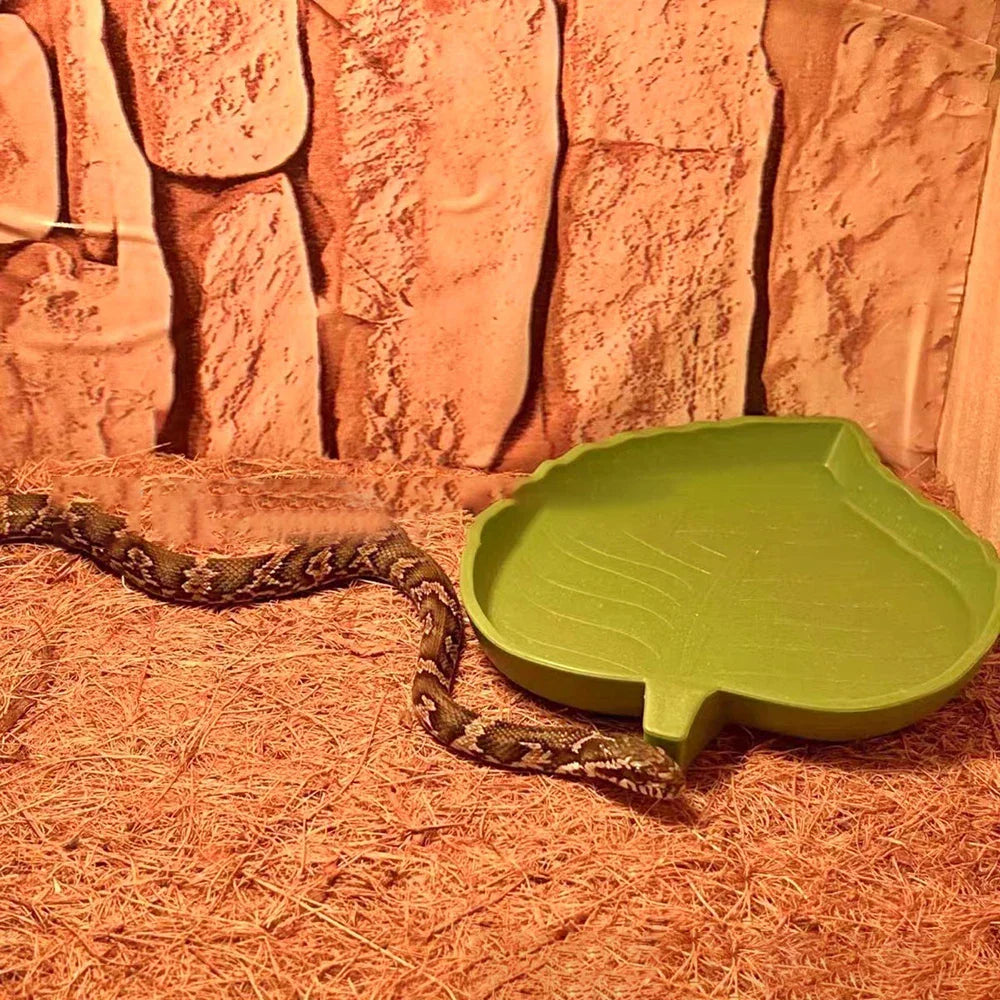 EcoTera Naturalna Mata do Terrarium z Włókna Kokosowego