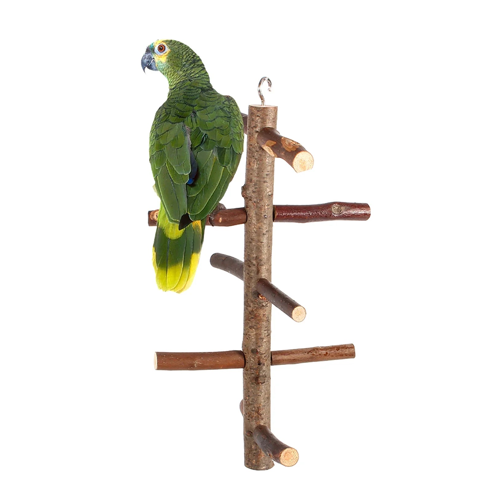 Papegaaienzitstok hout – naturalne ptasie siedzisko z gałęziami