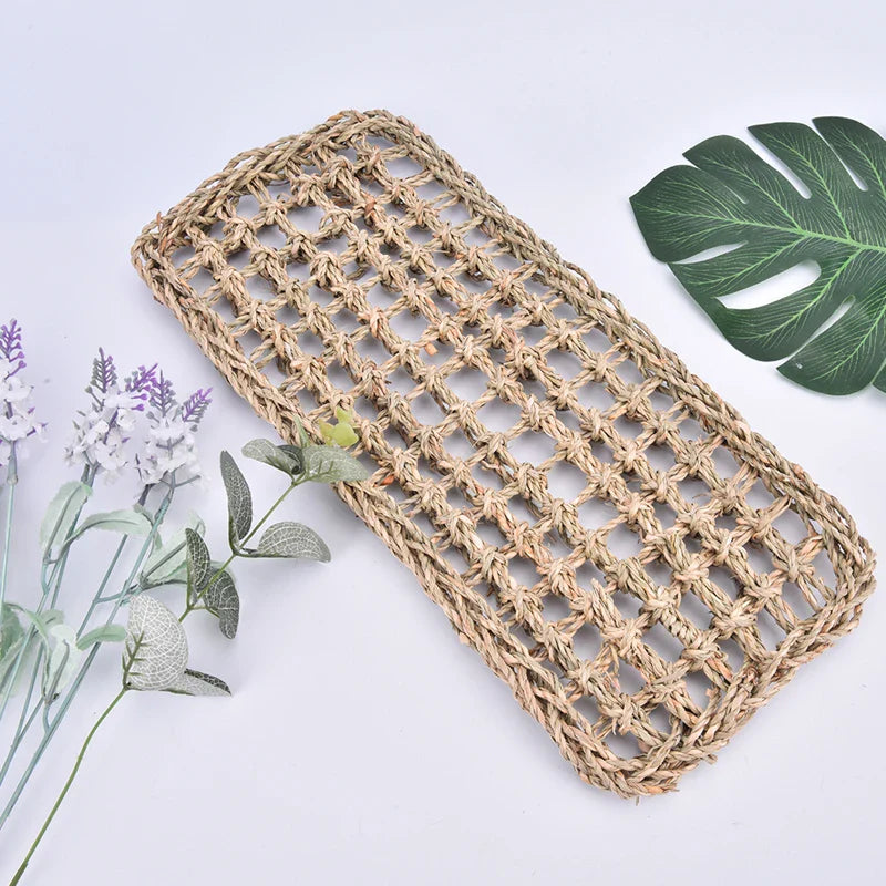 Hagedis Leżak Eye Hammock