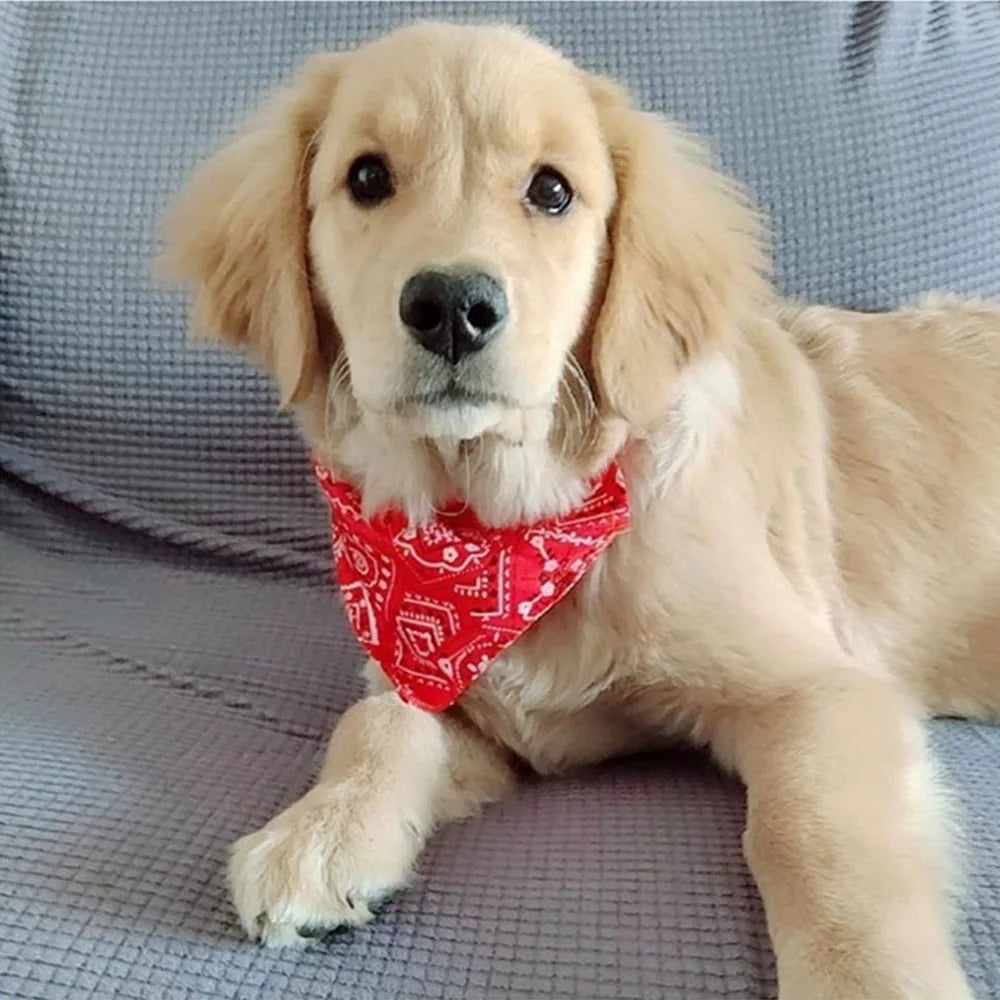 PawStyle Bandana Chustka na Szyję