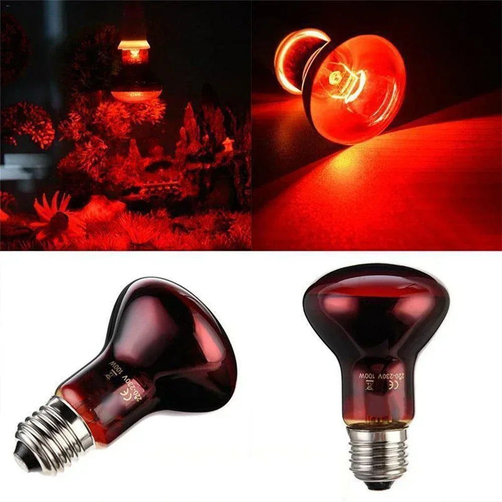 220V Podczerwona Lampa Grzewcza