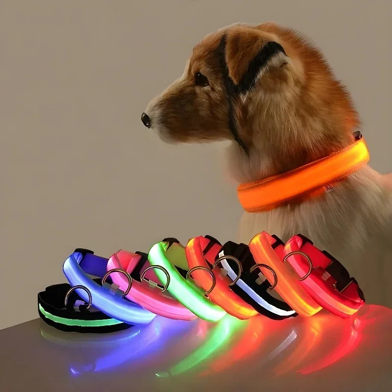 LumiSafe LED Obroża dla Psa