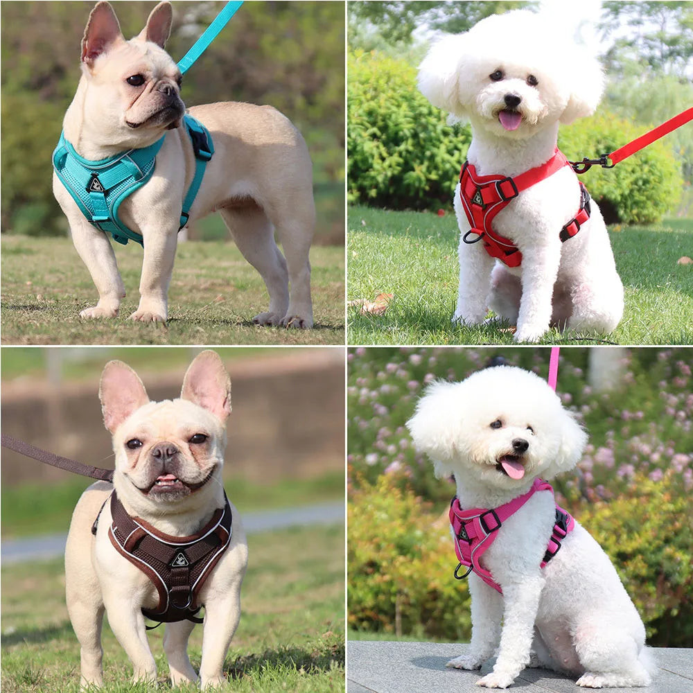 PawSecure Harnas & Lina Zestaw
