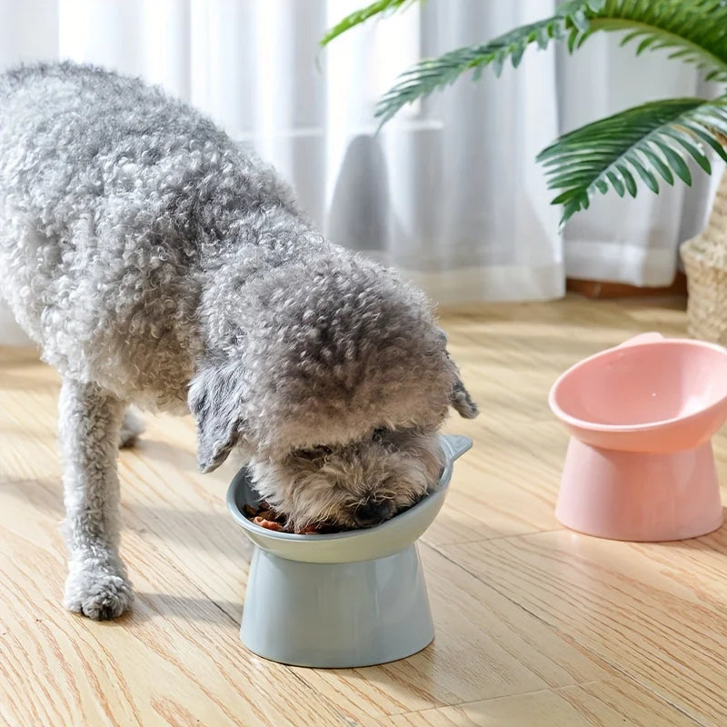 Podniesiona Miska dla Kota – Przeciw Wymiotom, Ergonomczna, Plastikowa